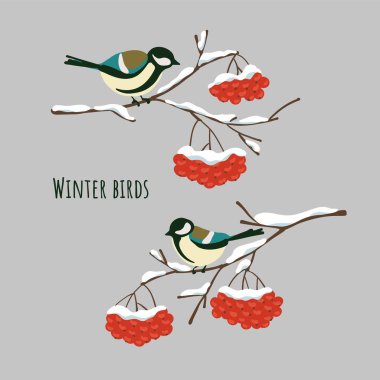 Winter birds great tits sitting on snow-covered branches of mountain ash. Flat simple stain style