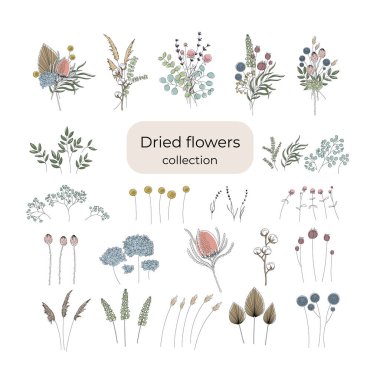 A set for creating bouquets of dried flowers. Editable string. clipart