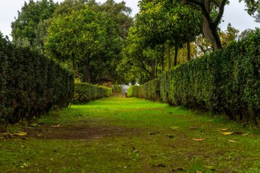 4 Aralık 2022 - Roma, İtalya: Palatine Hill 'deki Farnese Bahçeleri' nde (Orti Farnesiani Konsolosu Palatino) bir şerit.