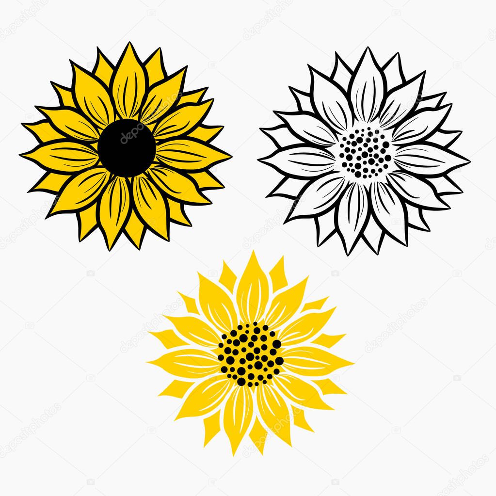 Sunflowers set yellow color drawing and outline. Summer bloom flowers.
