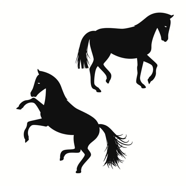 Horse Running Standing Black Silhouettes Template White Background — Vetor de Stock