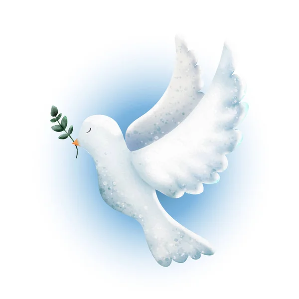 Zeytin dallı güvercin. vektör illüstrasyonu 