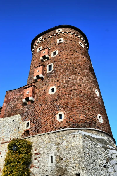 Vistas de los diferentes lugares turisticos de Cracovia, Polonia (Castillo de Wawel)