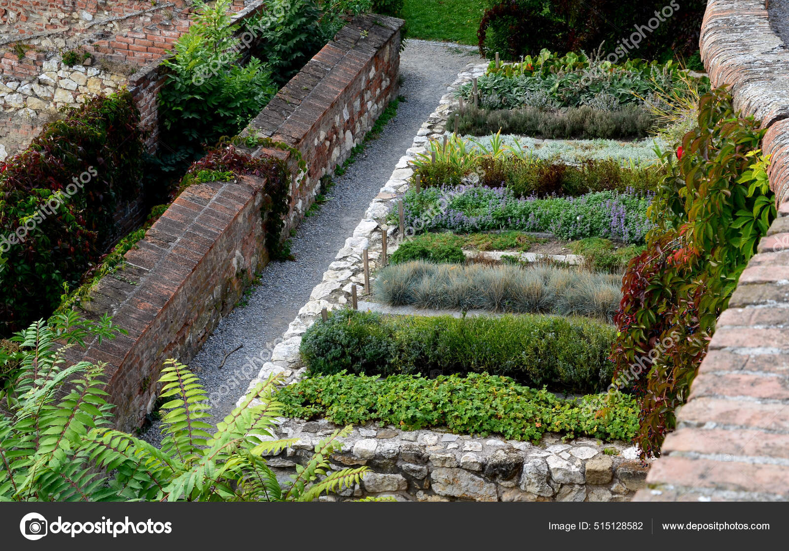 Herb Beds Rows Limestone Stone Back Brick Walled Courtyard Gravel Stock