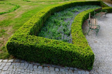 Boxwood çitleri olan yaz şatosu parterre dürüstçe budanmış, yolu bej sıkıştırılmış çakıl yolu boyunca uzanır. Boxwood 'un şekli de güzel, içinde uzun ömürlü mavi bir örtü var.