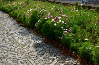 Fransız İtalyan tarihi bahçesinin düzenli çeyrek resmi çiçek yatakları. Kenarları çevreleyen çitlere kesilmiş kutular. Yıllık ve uzun ömürlü bir çiçeğin içinde