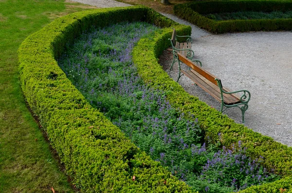 정당당 다듬어 울타리가 여름의 지대에는 베이지 자갈을 놓았다 Boxwood 만들어 — 스톡 사진