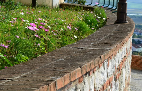 Canteiros Flores Formais Bairro Regular Jardim Histórico Francês Italiano Madeiras — Fotografia de Stock