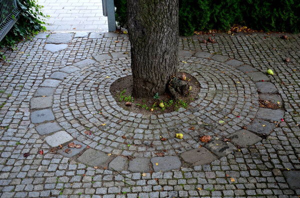 Trees planted on a large paved sidewalk need to breathe, the roots are between the blocks of a larger gap and a lattice with gravel rainwater can soak up. round bench around the trunk