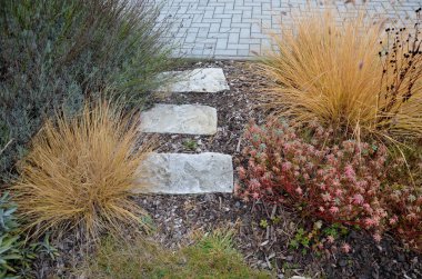 Süslü otlarla dolu çiçek tarhı sonbahar güneşinde kuru yapraklar sarı yaprak demetleri parlar. Arka plandaki çalılıklarda ve boynuz direğinin yaşam alanında. Kahverengi yapraklar çimenlik, kaldırım taşı, kumtaşı