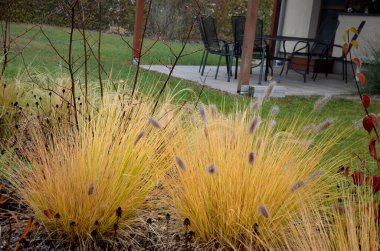 Süslü otlarla dolu çiçek tarhı sonbahar güneşinde kuru yapraklar sarı yaprak demetleri parlar. Arka plandaki çalılıklarda ve boynuz direğinin yaşam alanında. Kahverengi yapraklar çimenlik, kaldırım taşı, kumtaşı