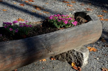İçi oyulmuş çam ağacından yapılma, içi taşlarla dolu sandık otoparkta saksı görevi görüyor. Mor çiçekli yıllıklarla ekilir. Park alanlarını ayırır