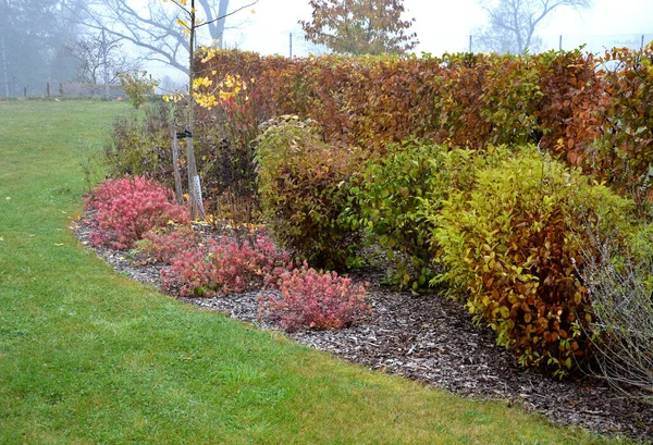 Macizo Flores Con Hierbas Ornamentales Hojas Secas Sol Otoño Brilla — Foto de Stock