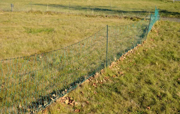 electric fence with plastic insulators on laminate posts. You can see the contrast of grazed green meadows and tall old grass, where cattle or sheep do not get a burst on their mouths.