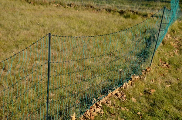 electric fence with plastic insulators on laminate posts. You can see the contrast of grazed green meadows and tall old grass, where cattle or sheep do not get a burst on their mouths.