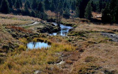 Geniş çaplı cüce çam ağaçları. Bu bir turba bataklığının kenarı. Dağlardaki göller büyük bir muhafaza kapasitesine sahiptir. Dağlık bölgelerdeki heathland düzlüklerinde amfibi yetiştirmek için bir sürü yer olacak.