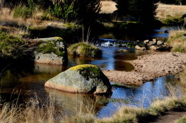 Büyük granit taşlarla bir dere nehrinden tahta bir köprüde bebek arabasıyla geçmek. Turba demiri su ve yosunların görüntüsü körfezlerin ve fiyortların görüntülerini oluşturuyor