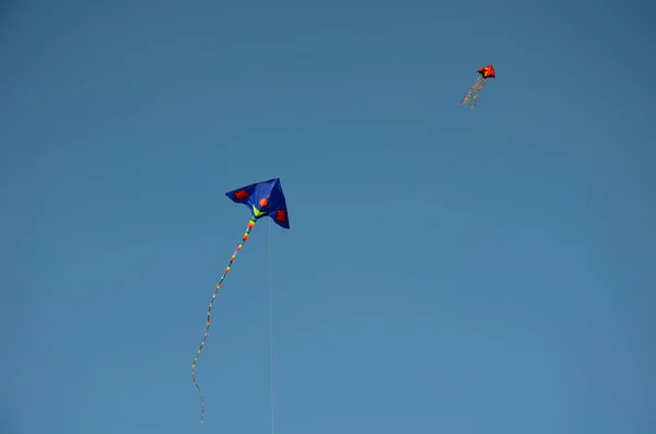 Papagaios Voando Céu Azul Dragão Perigo Contato Com Fios Alta — Fotografia de Stock