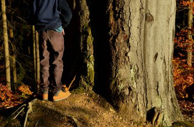 Güçlü kayın gövdesi ve dalları geniş. Dallarda sonbahar sarı yaprakları ve bir filin derisine benzeyen gri metalik bir kabuk bulunur. Küçük çocuk işiyor.