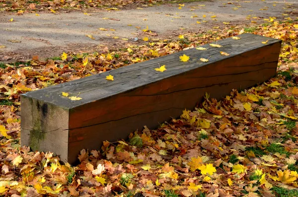 Prisme Chêne Bois Sert Banc Dans Jardin Pour Meilleur Séchage — Photo