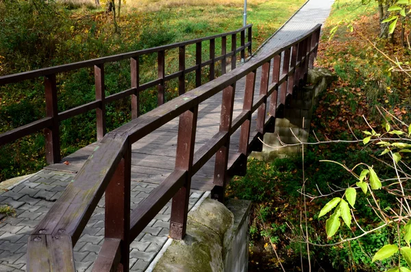 pedestrian bridge over a small gorge and a stream. it consists of two steel crossbeams. as the surface and railing of the bridge is made of brown painted planks. is long and narrow. in the wild