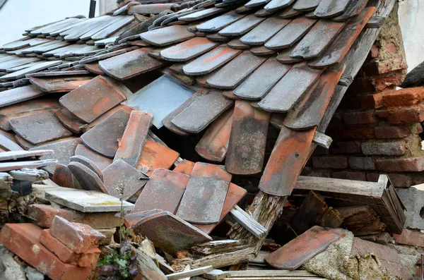 Hód Farok Tetőcserép Belülről Elsüllyedt Ahogy Gerendákat Elpusztította Egy Fákat — Stock Fotó