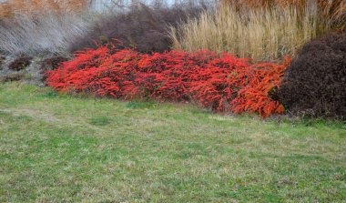 Mozaik gibi büyük ölçekli çalılar su geçirmez değil. Otoyolun yukarısındaki aşırı gelişmiş yamaçlar. Turuncu, kahverengi, kırmızı, yeşil ve süslü otlardan oluşan büyük kareler.