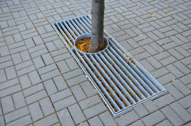 Dikdörtgen şeklinde kafes, bir ağaç gövdesi için dairesel bir delik, kaldırımlı bir meydanın ortasında ya da bir çatı katında. Altın bölmeli çelik paspas, süs parkı, döşeme