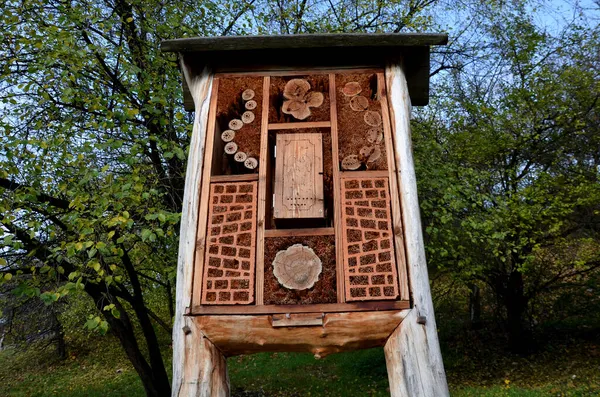 Casa Ninho Insetos Localizada Parque Prado Contém Materiais Naturais Porosos — Fotografia de Stock