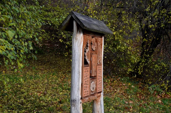 Insectennest Huis Gelegen Het Park Weide Het Bevat Poreuze Natuurlijke — Stockfoto