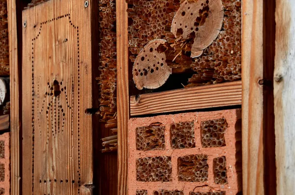 Insect Nest House Located Park Meadow Contains Porous Natural Materials — Stock Photo, Image
