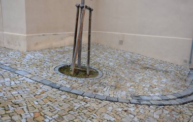 Kabaca düzensiz asfalt istiflenmiş yuvarlak ağaç kaseleri. Tarihi bir binanın kahverengi duvarları ve sokaktan uzaklaşan boylamasına bir kanal. Yeni dikilmiş bir ağacın drenaj borusu.