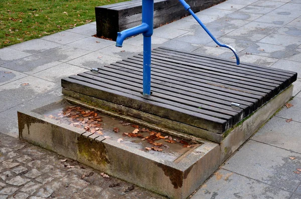 Mavi metal retro, parlak ahşap kapaklı. Su el pompasından taş yalağa akar. Bahçe tezgahı şekilli prizma çimenlik park mimarisi, dayanıklılık, ucuz