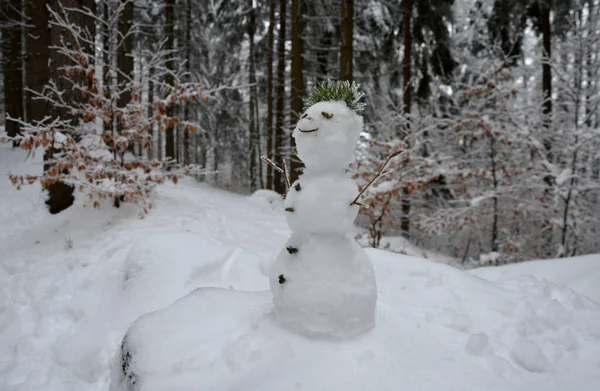 Muñeco Nieve Pequeño Que Parece Duende Del Bosque Con Una —  Fotos de Stock