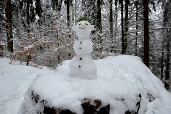 Muñeco Nieve Pequeño Que Parece Duende Del Bosque Con Una —  Fotos de Stock