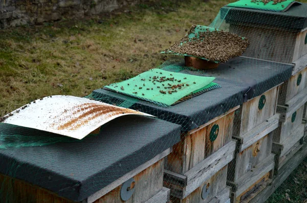 control of mite pest fall from bee brood. according to number of mites, the examination by vet is determined by treatment procedure. dead bees determine quality of hibernation. wax,disturbing