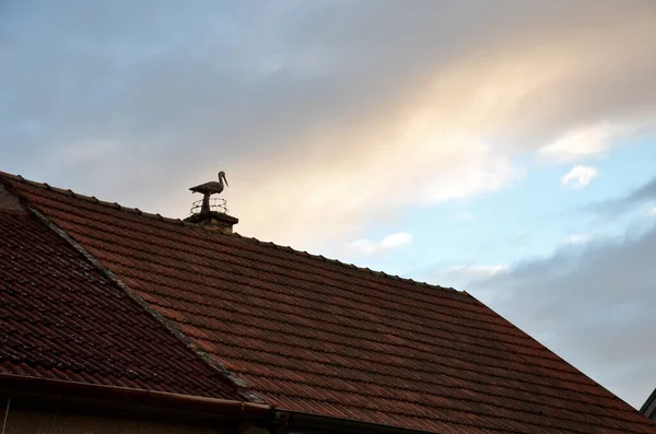 Auf Dem Schornstein Über Dem Dach Verbrannter Ziegel Steht Ein — Stockfoto