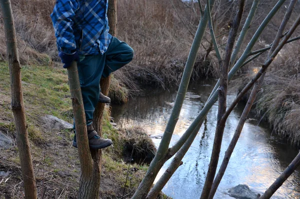 boy climbs in the crown of a tree above the stream. it threatens to fall from a tree into a stream of a chilly river. holding branches, has blue winter clothes, jacket, pants, gloves. fun in nature