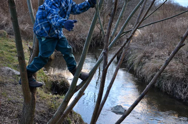 boy climbs in the crown of a tree above the stream. it threatens to fall from a tree into a stream of a chilly river. holding branches, has blue winter clothes, jacket, pants, gloves. fun in nature