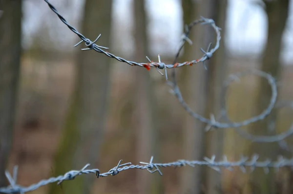 Granicą Pokrytą Drutem Kolczastym Cierpią Ludzie Bez Wolności Osobistej Podział — Zdjęcie stockowe