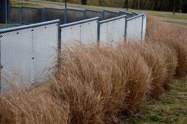 Genişletilmiş metal levha eskrimi. Galvanize parmaklıklardan yapılmış çok dayanıklı parmaklıklar. Süslü otların şeridi mekana insafsız bir bakış kazandırıyor. Öğütücü olarak yarı saydam