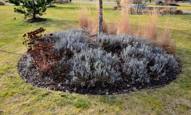 Sonbahar bitkisel çiçek yatakları çok güzeldir. Doğurganlıkları tohumları dışarı atar ve sarı yapraklar ve çimen tohumu ile estetik olarak hareket eder. Çim biçimli bir tepenin üzerinde çim üzerinde çayır tipi şehir yatağı