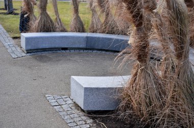 Japon uzun kuru otları kış için demetlere bağlandı. Parktaki granit bankın etrafını saran çiçek tarhının kemerinde. Bank at nalı gibi kıvrılmış, kaldırımın kenarında pürüzsüz bir yüzeyi var.