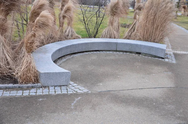 Japon uzun kuru otları kış için demetlere bağlandı. Parktaki granit bankın etrafını saran çiçek tarhının kemerinde. Bank at nalı gibi kıvrılmış, kaldırımın kenarında pürüzsüz bir yüzeyi var.