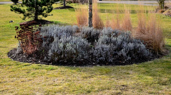 Sonbahar bitkisel çiçek yatakları çok güzeldir. Doğurganlıkları tohumları dışarı atar ve sarı yapraklar ve çimen tohumu ile estetik olarak hareket eder. Çim biçimli bir tepenin üzerinde çim üzerinde çayır tipi şehir yatağı