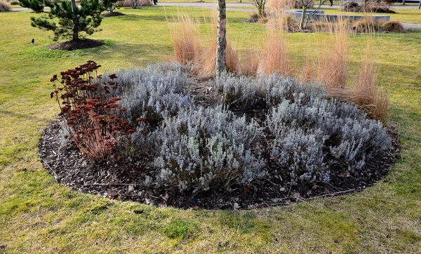 Sonbahar bitkisel çiçek yatakları çok güzeldir. Doğurganlıkları tohumları dışarı atar ve sarı yapraklar ve çimen tohumu ile estetik olarak hareket eder. Çim biçimli bir tepenin üzerinde çim üzerinde çayır tipi şehir yatağı