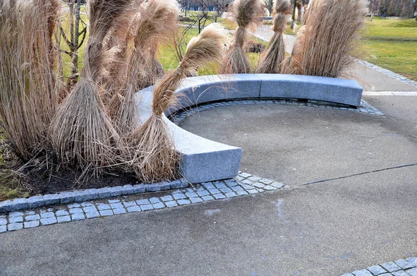 Japon uzun kuru otları kış için demetlere bağlandı. Parktaki granit bankın etrafını saran çiçek tarhının kemerinde. Bank at nalı gibi kıvrılmış, kaldırımın kenarında pürüzsüz bir yüzeyi var.