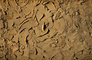 Alçıdan duvar çitlerinin pürüzlü dokusu. Bej kütle bir spatula ya da malayla duvara yayılmış. Spiral darbeler açıkça görülüyor. Bir tuğla ustası, tarihi bir tarzda bir duvar örebilir.