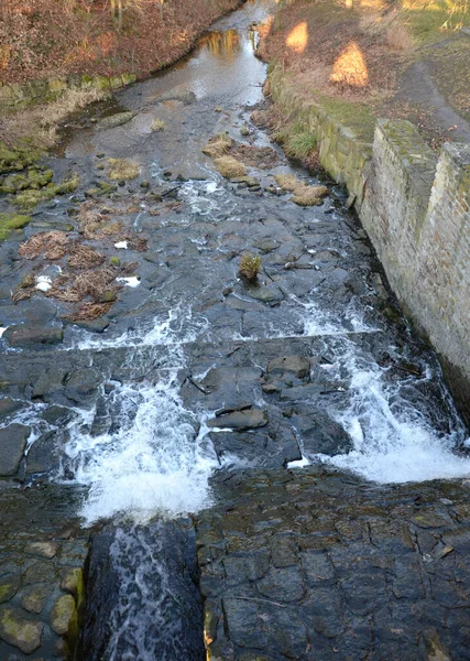 Üreyen Balık Göletinin Barajında Aynı Weir Benzeyen Bir Kanal Güvenliği — Stok fotoğraf