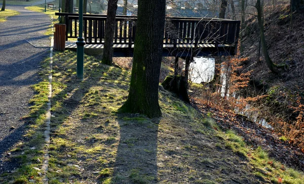 Bridges Footbridges Welcome Addition Natural Landscaping Observation Deck Railings River — Stock Photo, Image